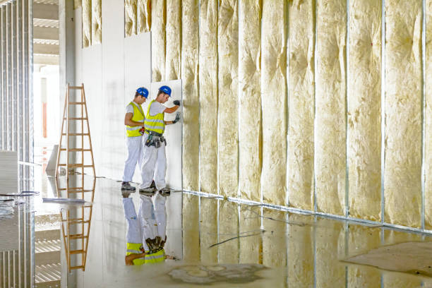 Best Local Insulation Services  in Tunica Resorts, MS